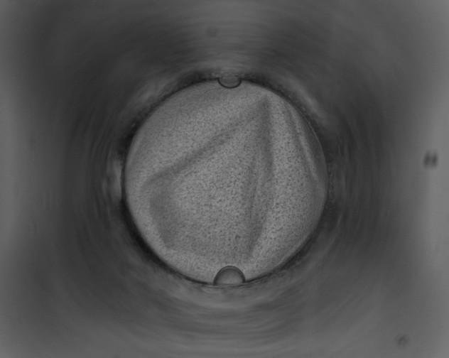 X0000101140022200807181305