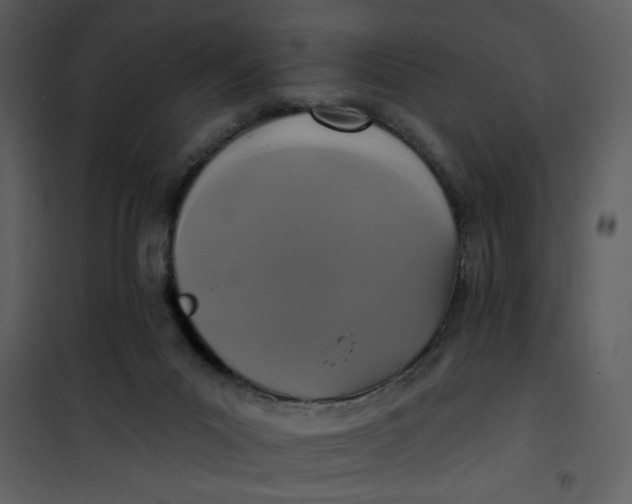 X0000101140023200807181305