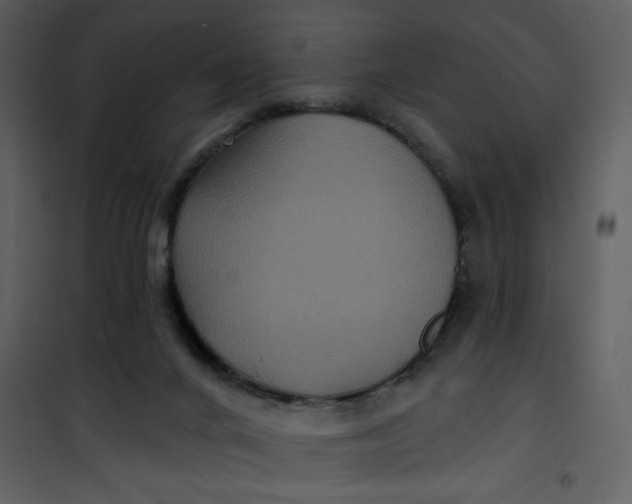 X0000101140024200807181305