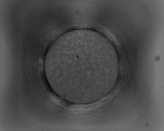 X0000101140025200807181305