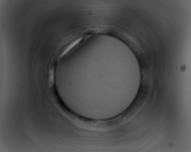 X0000101140028200807181305