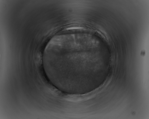 X0000101140029200807181305