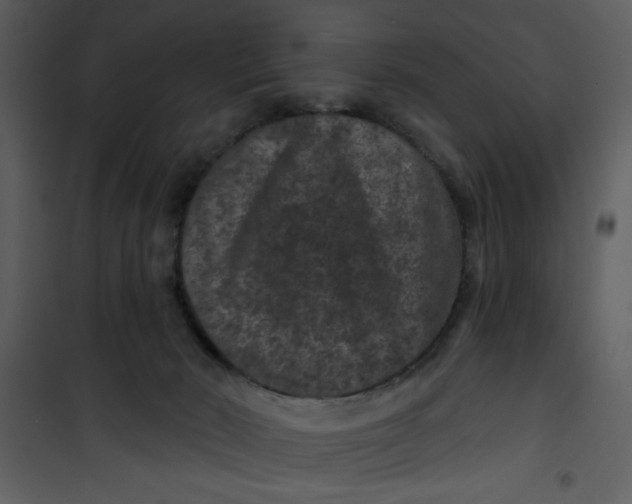 X0000101140030200807181305