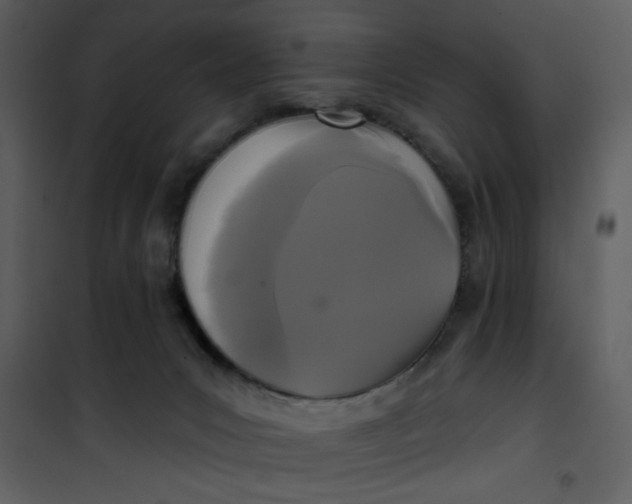 X0000101140031200807181305