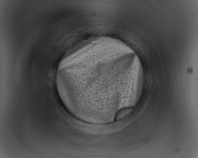 X0000101140034200807181305