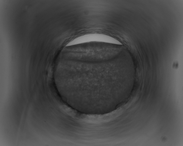 X0000101140037200807181305