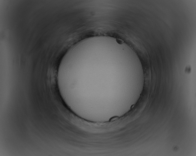 X0000101140038200807181305