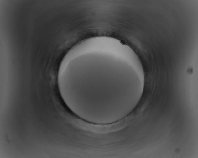 X0000101140039200807181305