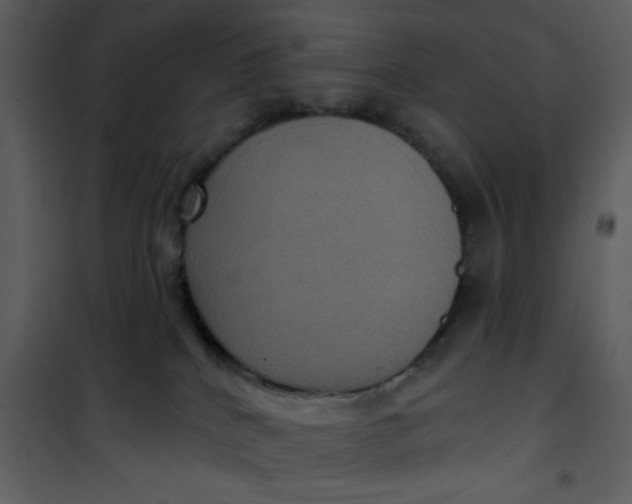 X0000101140040200807181305