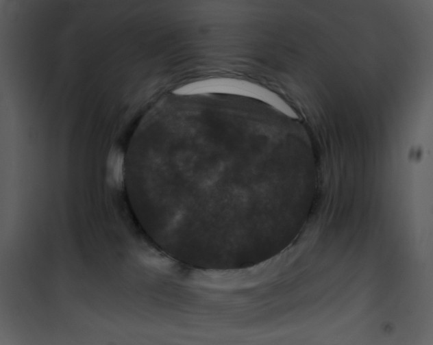 X0000101140041200807181305