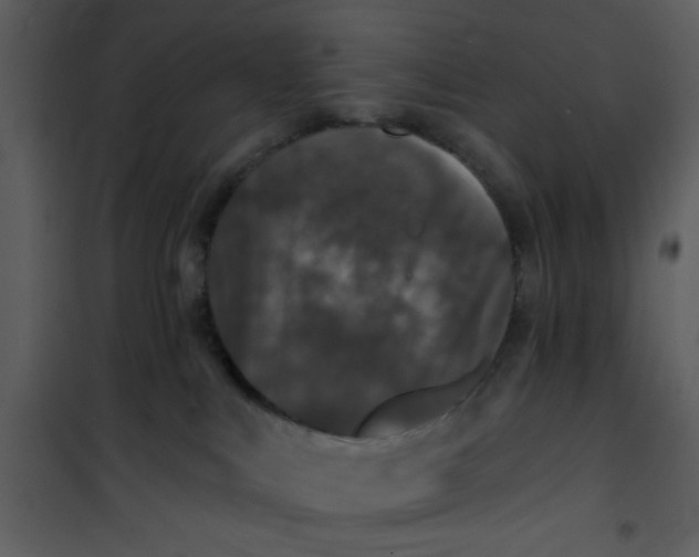 X0000101140043200807181305