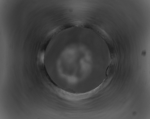 X0000101140047200807181305