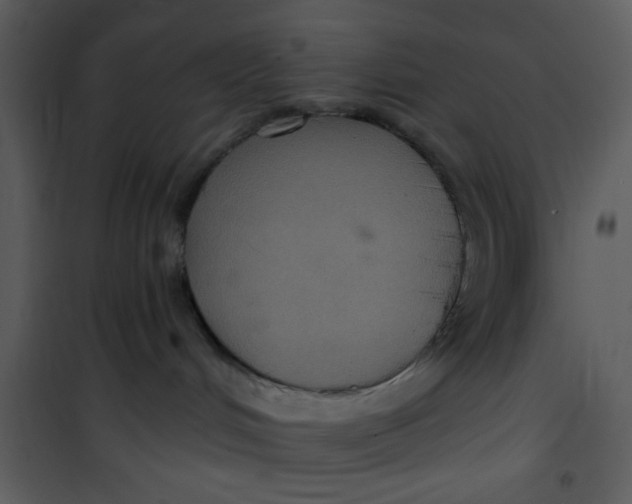 X0000101140048200807181305