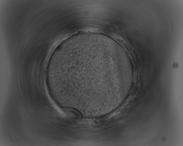 X0000101140049200807181304