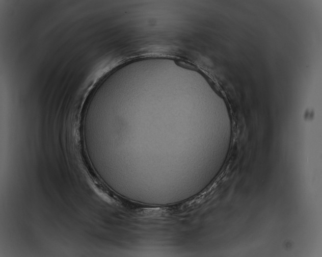 X0000101140050200807181304