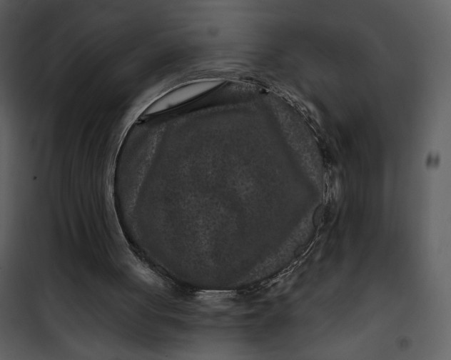 X0000101140051200807181304