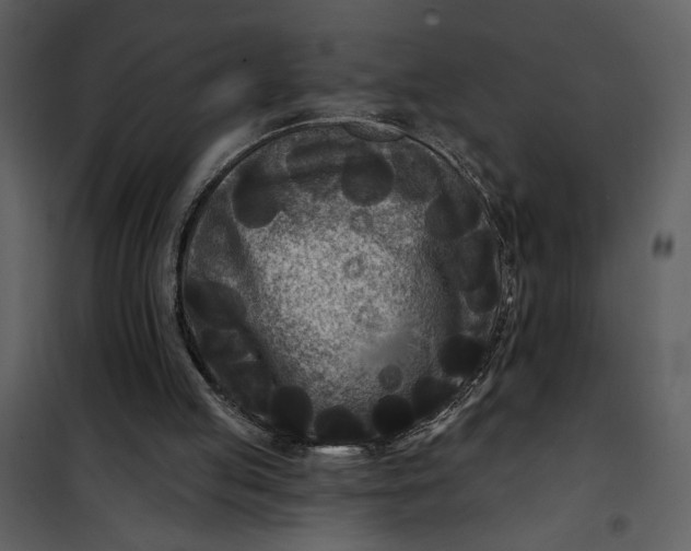 X0000101140053200807181304