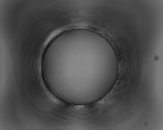 X0000101140054200807181304