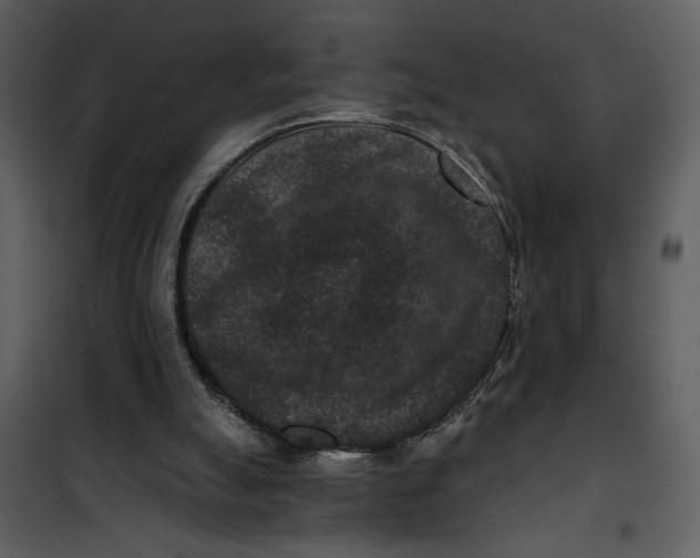 X0000101140055200807181304