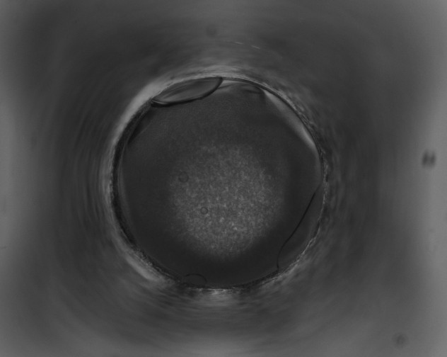 X0000101140056200807181304