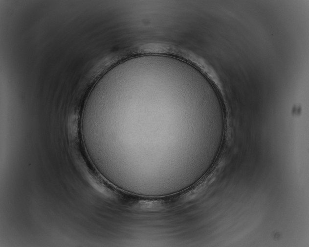 X0000101140057200807181304