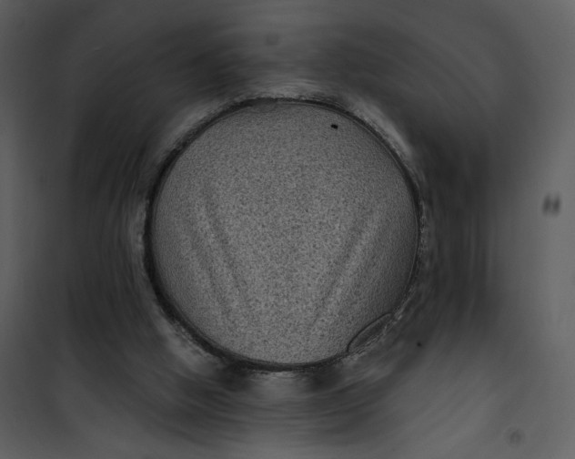 X0000101140058200807181304