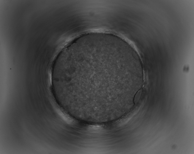 X0000101140061200807181304