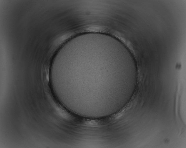 X0000101140062200807181304