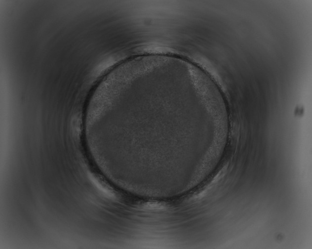 X0000101140063200807181304