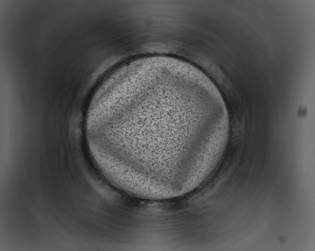 X0000101140064200807181304