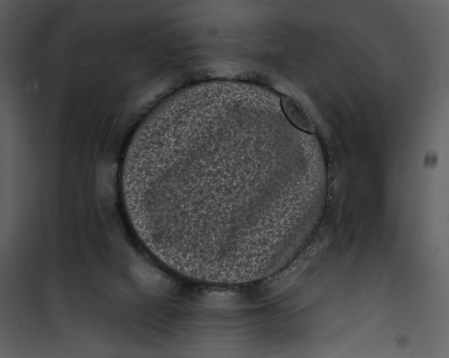 X0000101140066200807181304