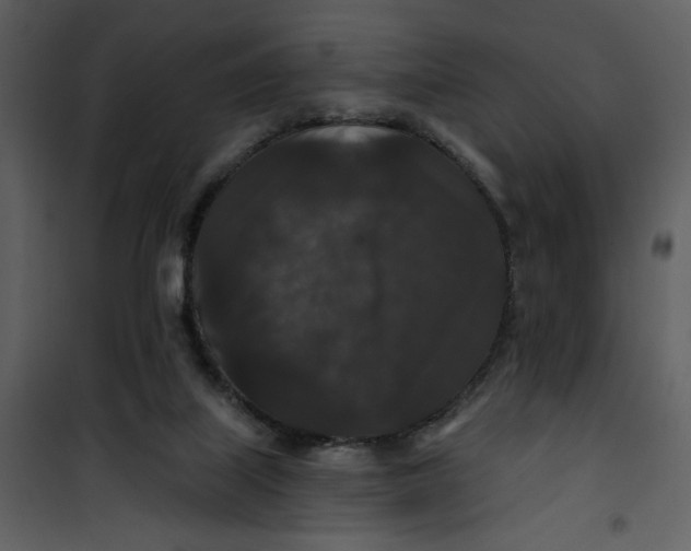 X0000101140067200807181304