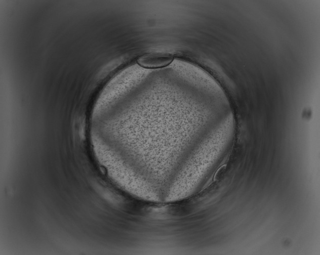 X0000101140068200807181304