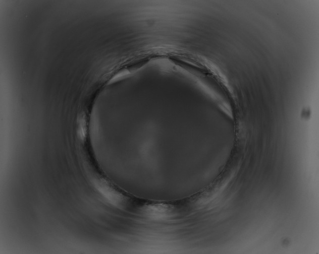 X0000101140069200807181304