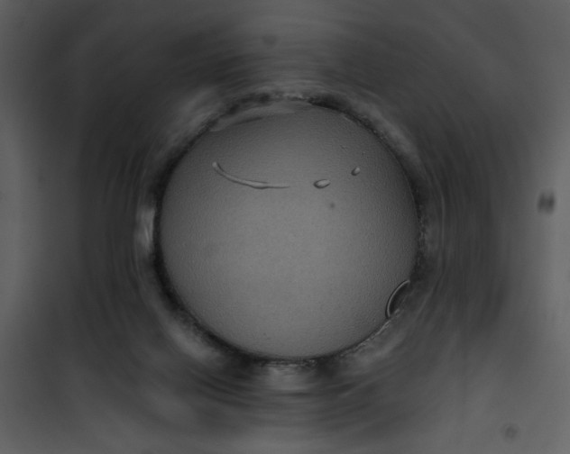 X0000101140070200807181305