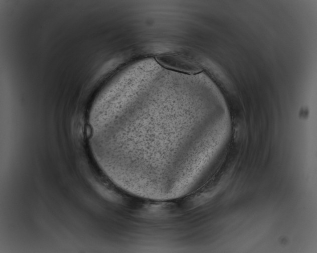 X0000101140072200807181305