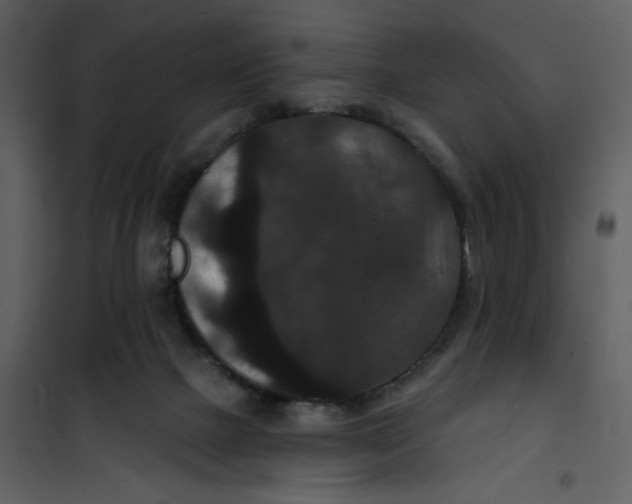 X0000101140073200807181305