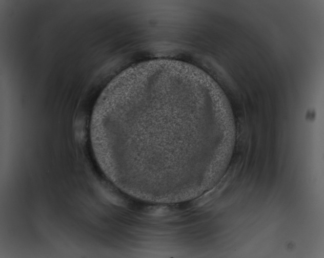 X0000101140074200807181305