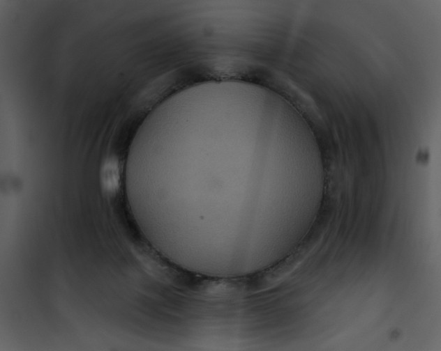 X0000101140075200807181305