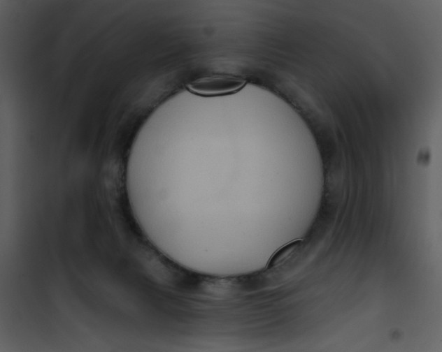 X0000101140079200807181305