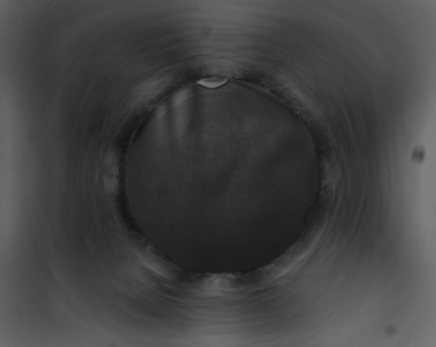 X0000101140080200807181305