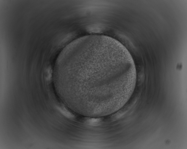 X0000101140081200807181305