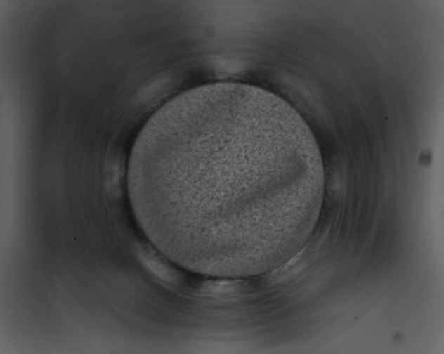 X0000101140082200807181305