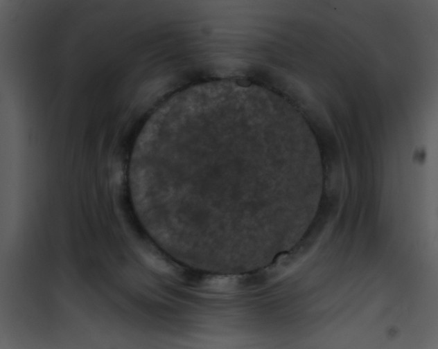 X0000101140084200807181305