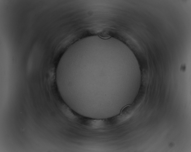 X0000101140085200807181305