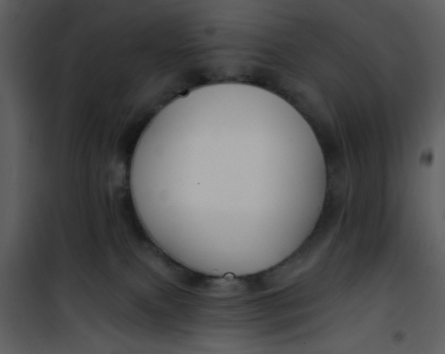 X0000101140087200807181305