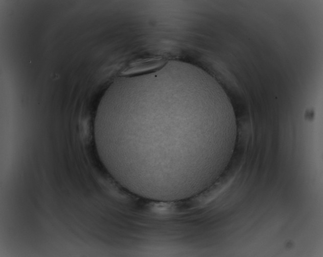 X0000101140088200807181305