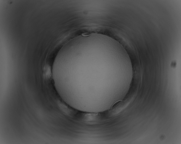 X0000101140089200807181305