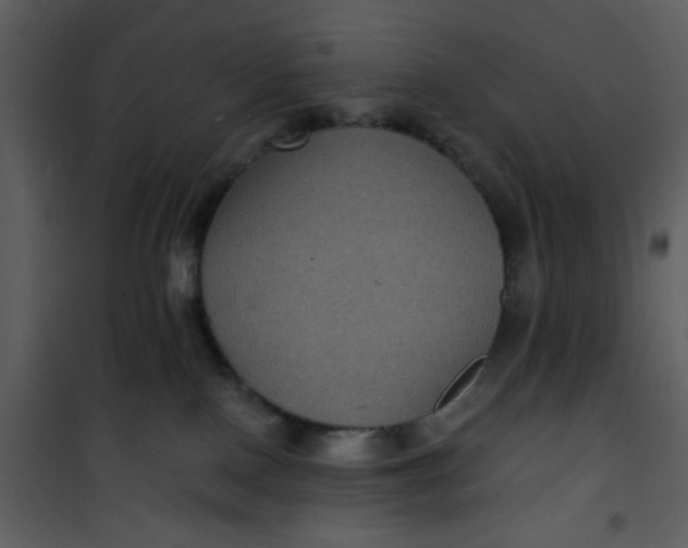 X0000101140090200807181305