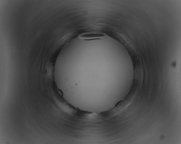 X0000101140092200807181305